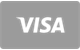 Visa card accepted at CarloSpin Casino